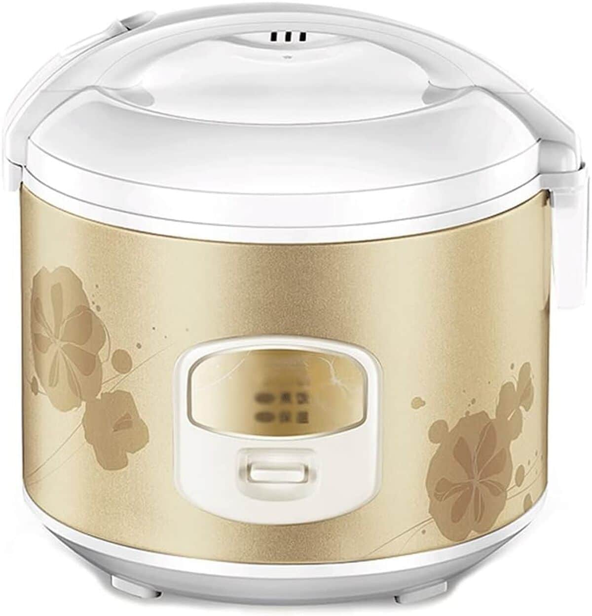 Test RajoNN Cuiseur à Riz 3L : multifonction et Pratique
