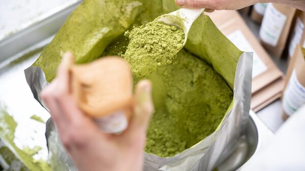 Chabiothé - Matcha Dégustation Bio 10 kg - Origine Japon - conditionné en France - thé vert Matcha en poudre