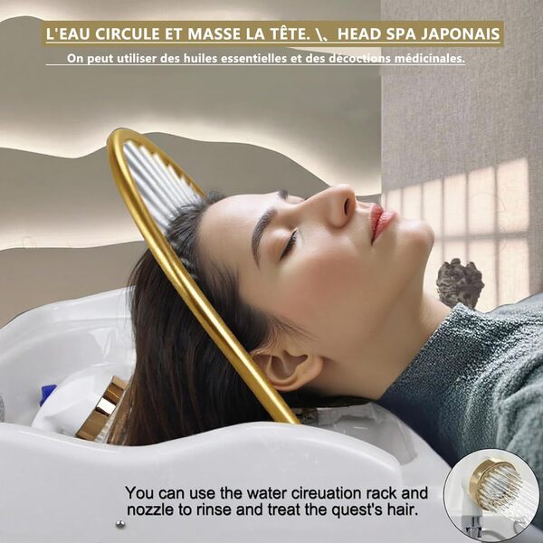 équipement Spa Japonais l 3000 W | Bac à shampoing Mobile 60 L avec rinçage en Cascade et Accessoire pour favoris | Chromothérapie LED thermostatique | Plug-Play pour fauteuils de Salon (62-72cm)