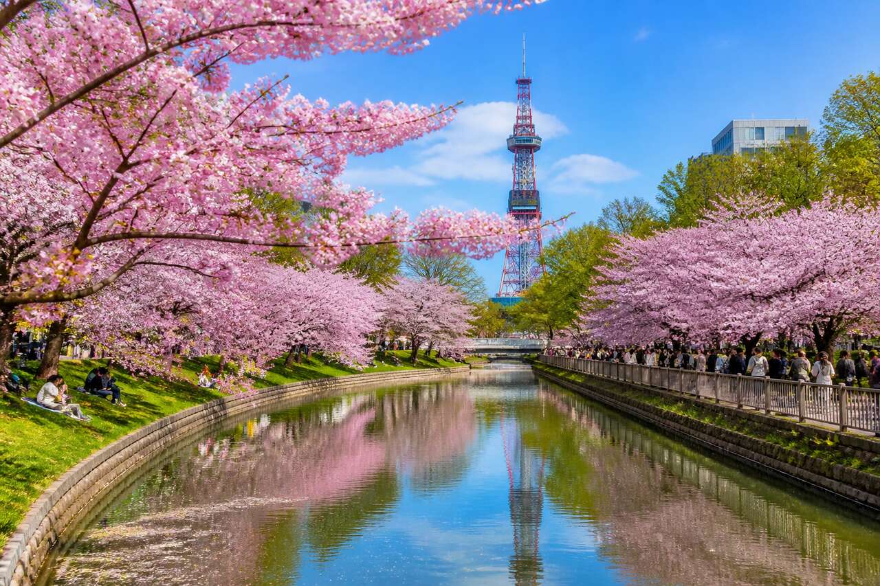 Top 3 des spots de hanami à Sapporo