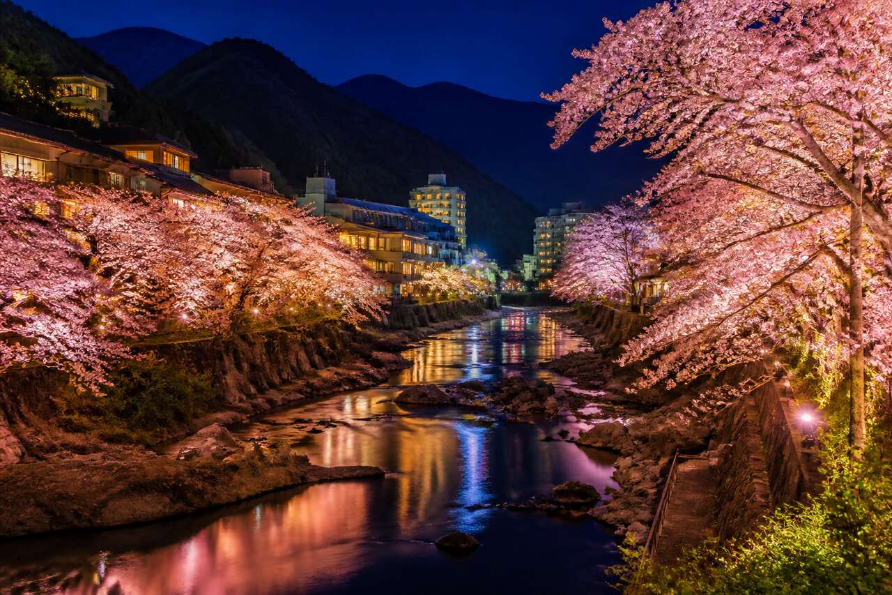 Illuminations et hanami de nuit au Kinugawa Onsen à Nikko