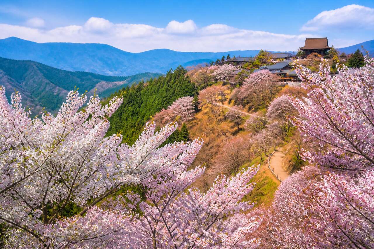 Yoshinoyama : le mont Yoshino près d'Osaka