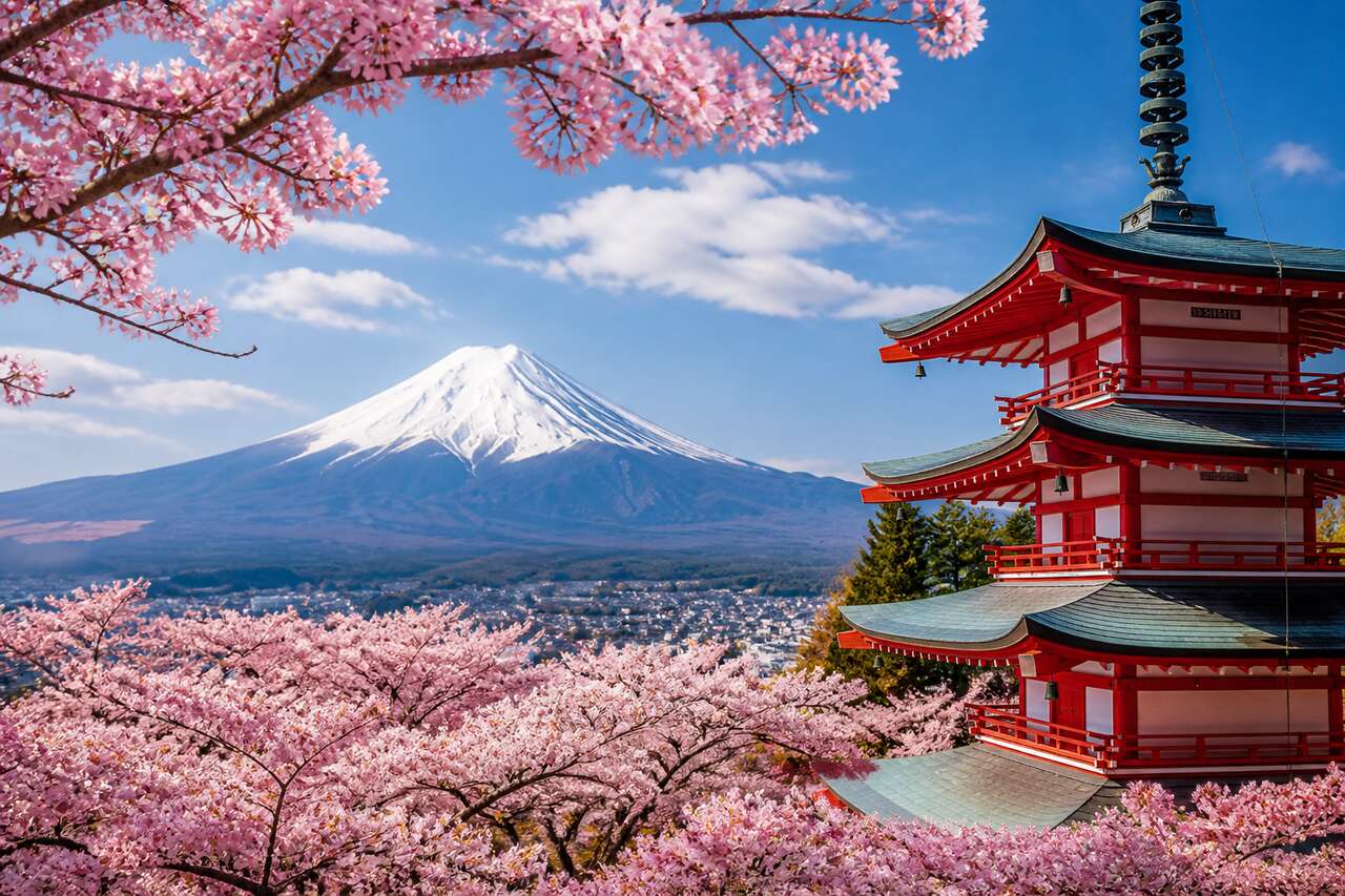 Hanami : la fête des cerisiers en fleur au Japon