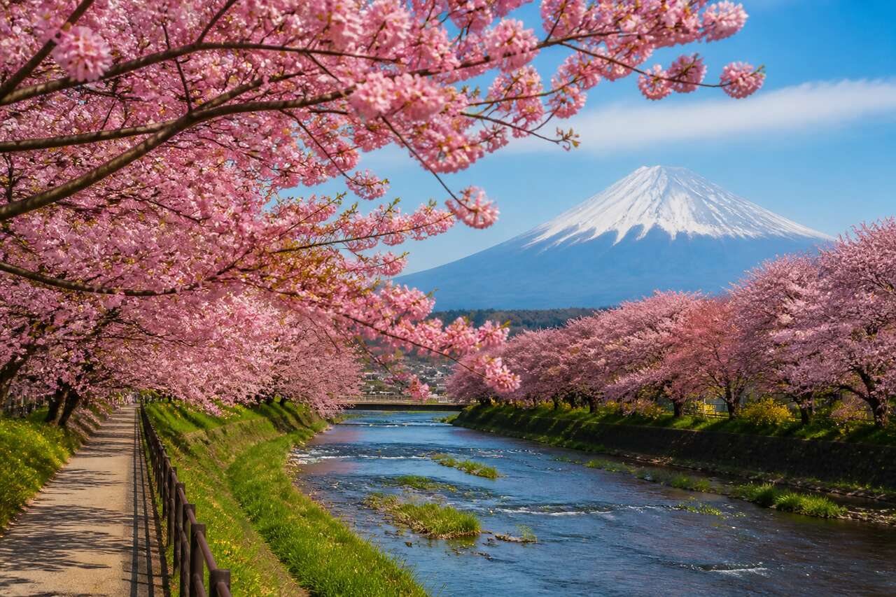 Sakura : où admirer les cerisiers en fleurs à Tokyo, tochigi, gunma et Saitama