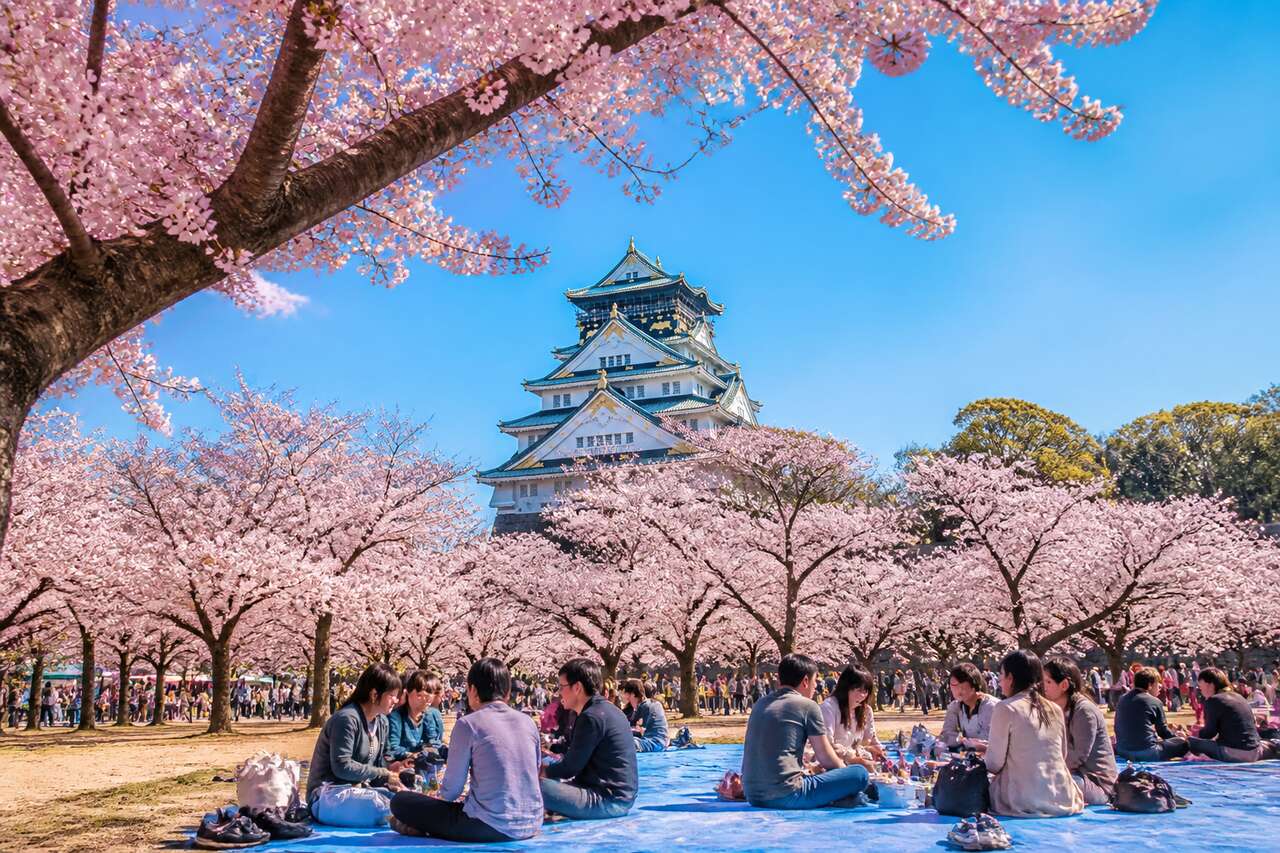 Hanami au Japon : célébrer la floraison des cerisiers