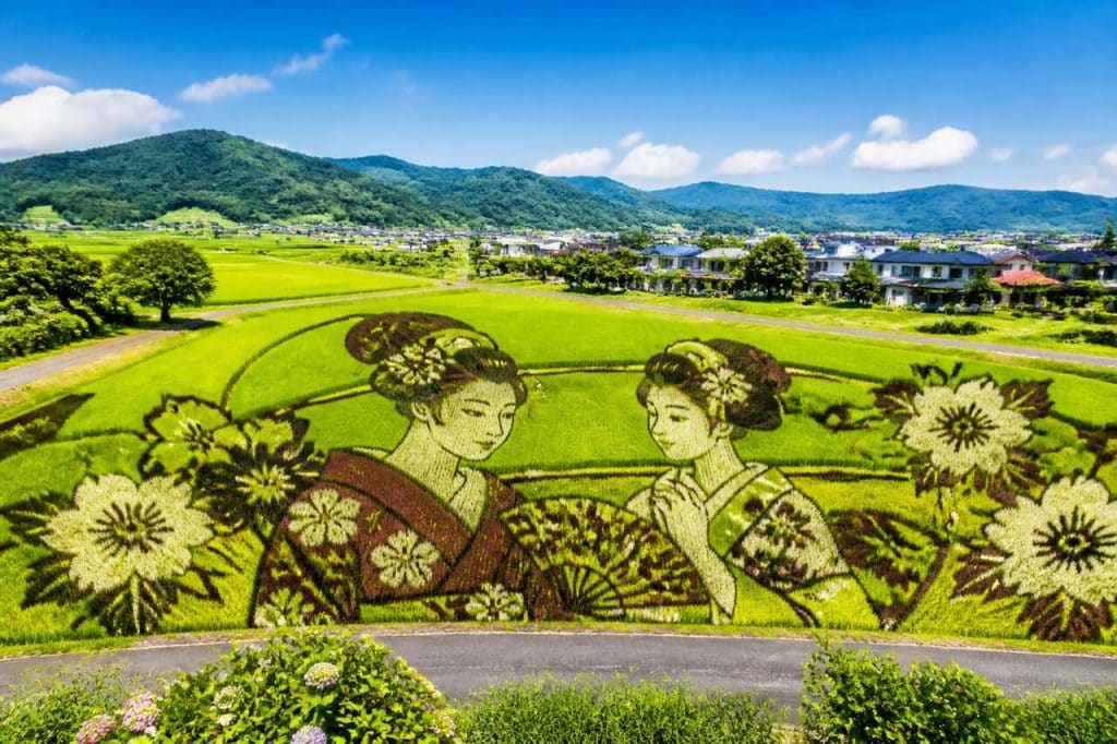 Le Tambo Art : transformer les Rizières en Œuvres d'Art au Japon