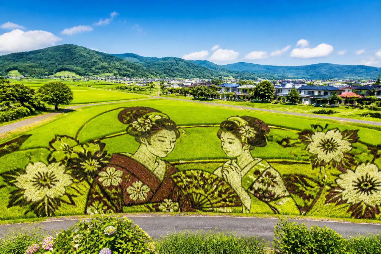 Le Tambo Art : transformer les Rizières en Œuvres d'Art au Japon