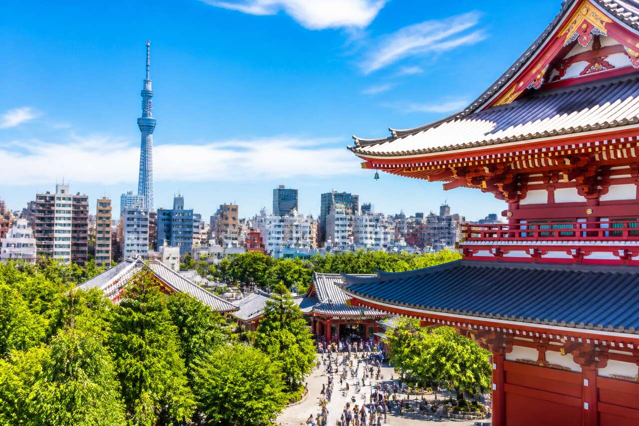 Top 7 des activités à faire à Tokyo en été