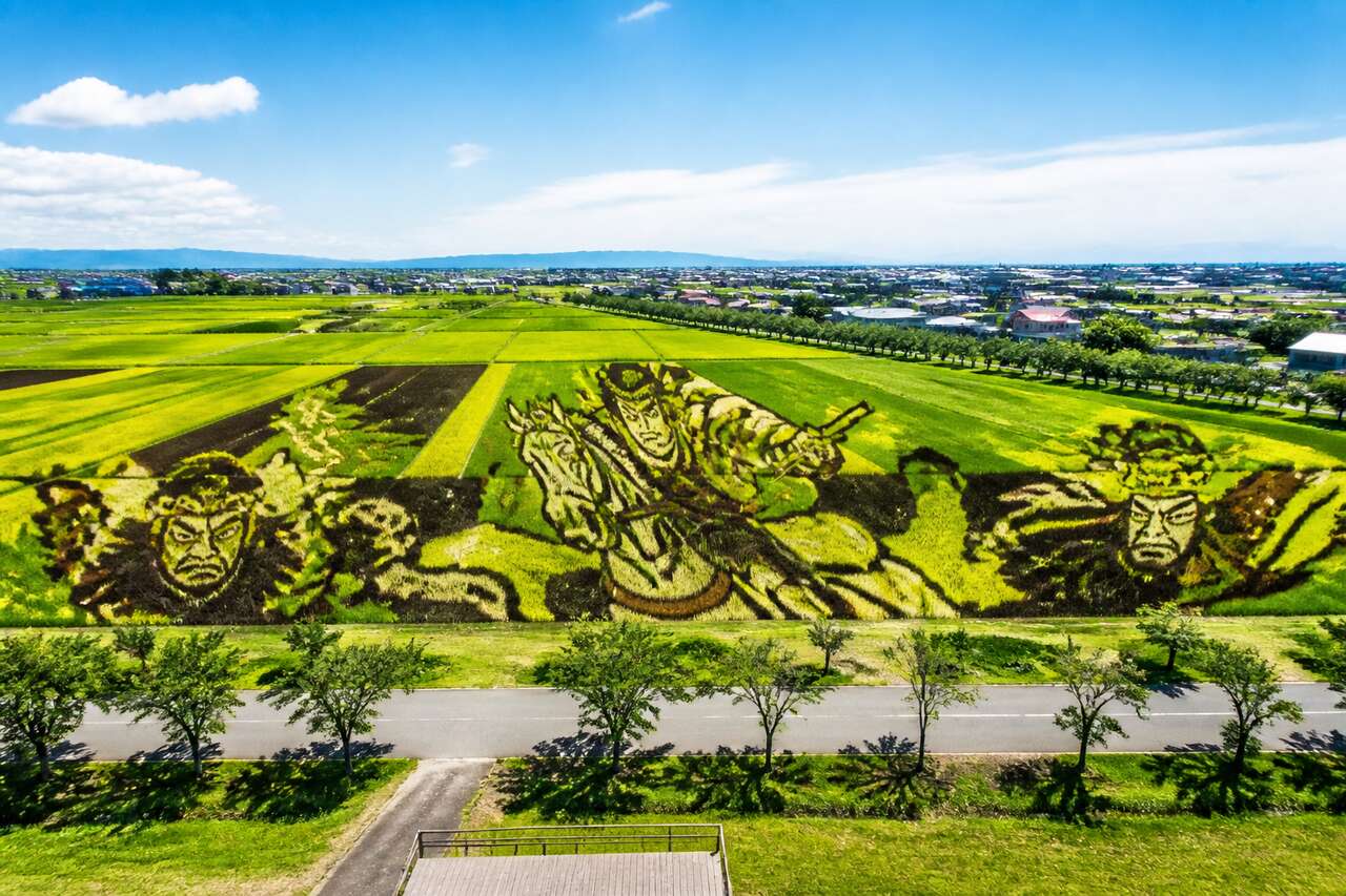 Tambo art à Aomori : l'art des rizières japonaises