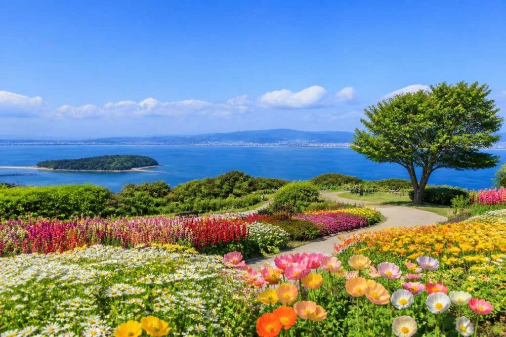 Nokonoshima : l'île fleurie de la baie de Fukuoka