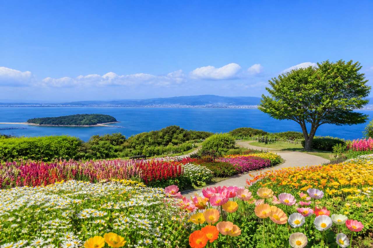 Nokonoshima : l'île fleurie de la baie de Fukuoka