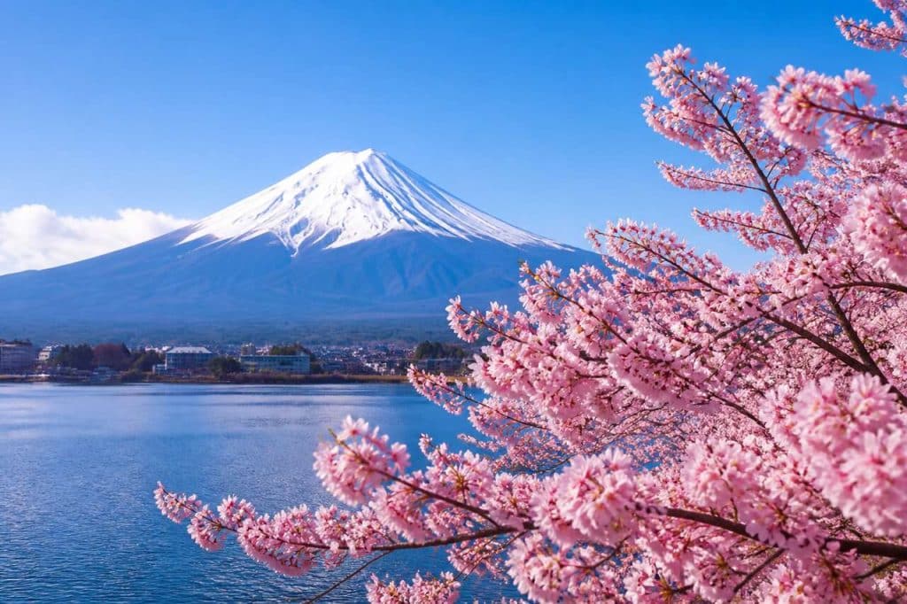 Que faire au Japon : les incontournables à découvrir