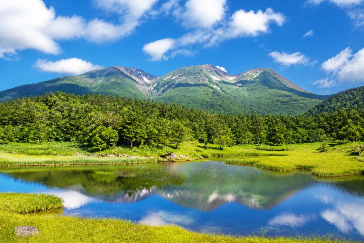 Plateau de Norikura Kogen : guide complet pour explorer ce joyau naturel de Takayama