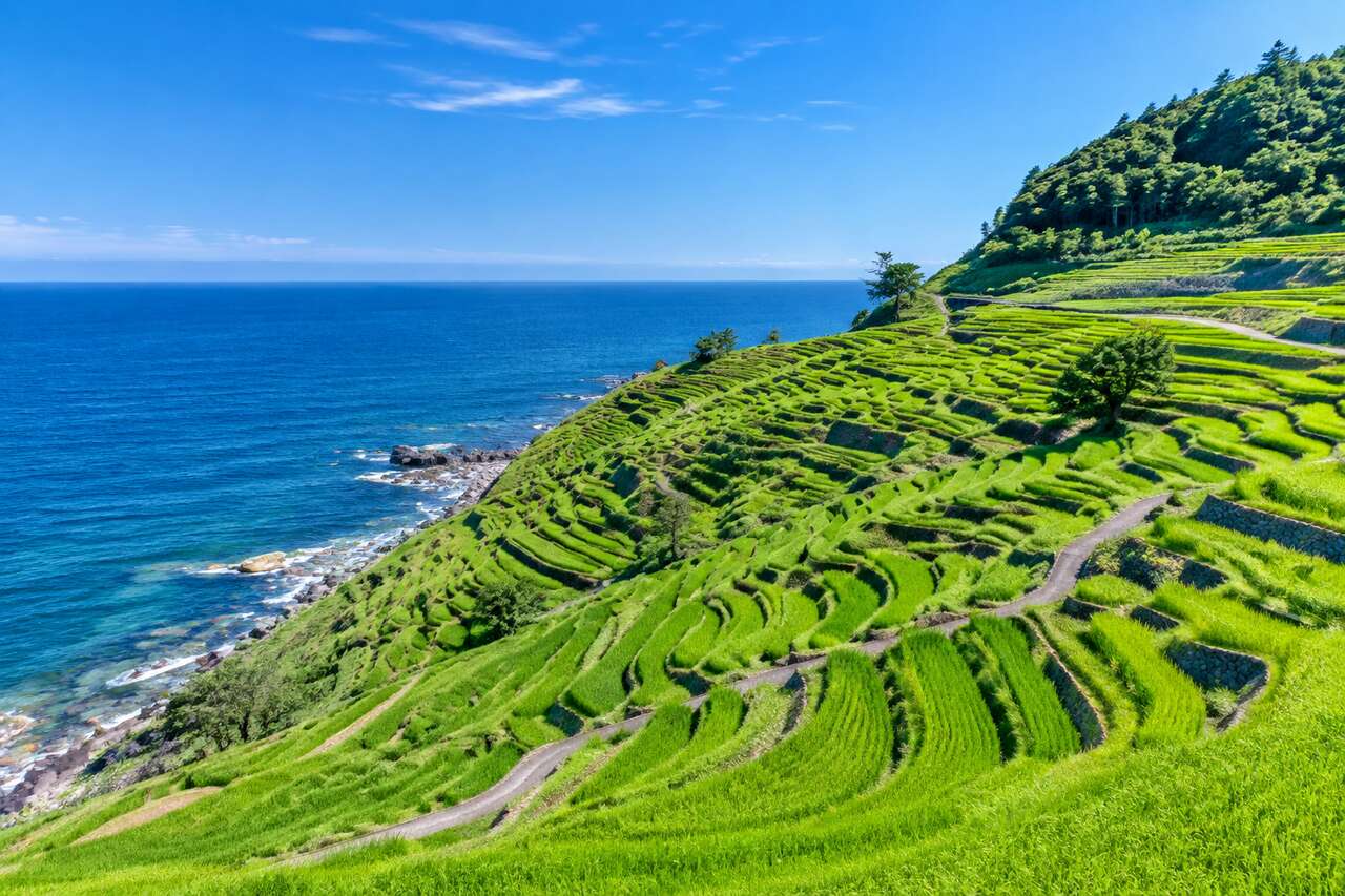 Visiter Wajima : guide de la péninsule de Noto à Ishikawa