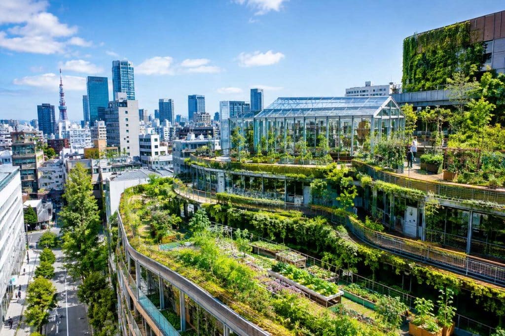 Pasona, la ferme urbaine au cœur de Tokyo